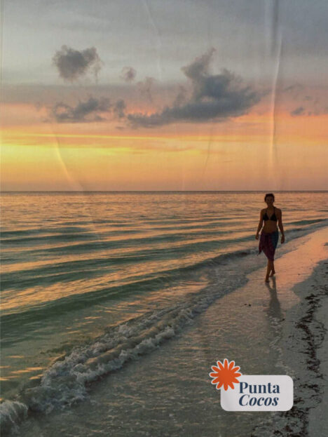 holbox blogMesa de trabajo 2